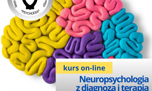 Podstawy neuropsychologii z diagnozą i terapią zaburzeń osób z dysfunkcjami neurologicznymi kurs online